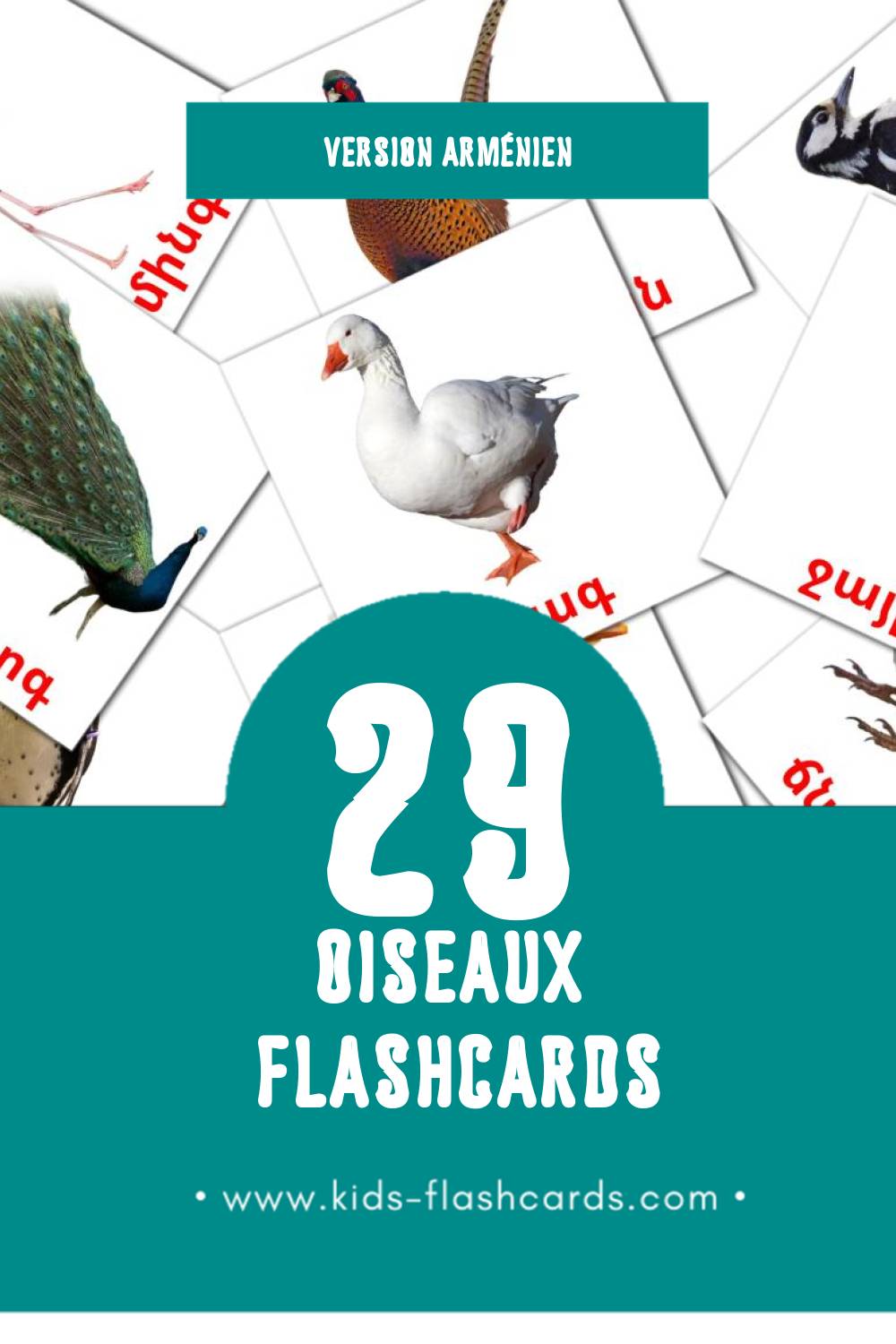 Flashcards Visual Թռչուններ pour les tout-petits (13 cartes en Arménien)