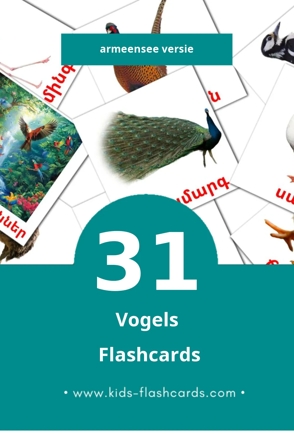 Visuele Թռչուններ Flashcards voor Kleuters (31 kaarten in het Armeense)