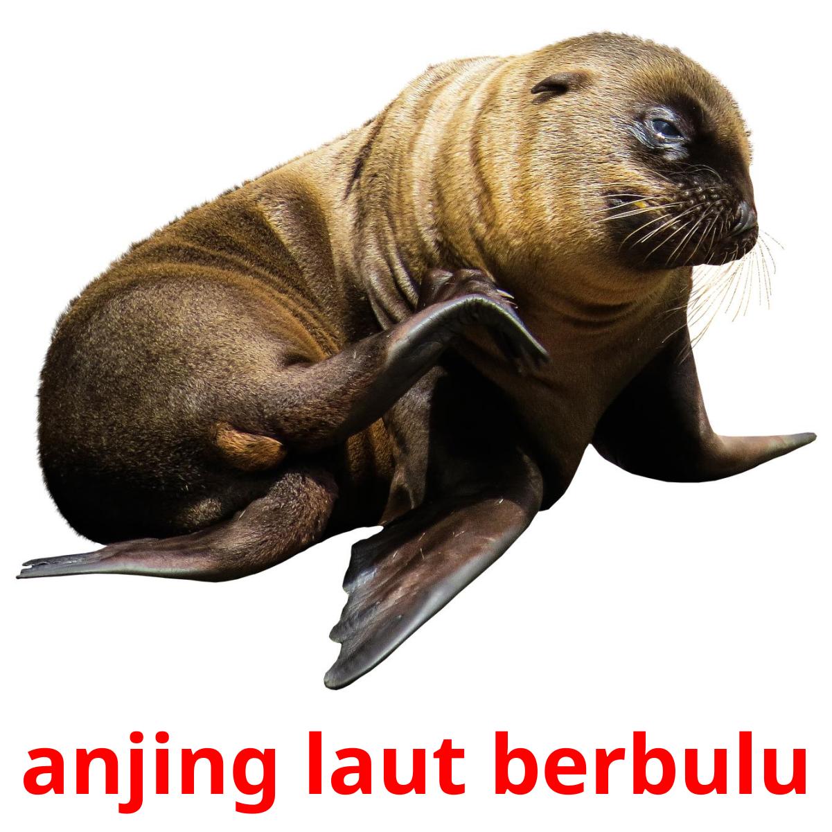 29 Free Sea Animals Flashcards In Indonesian Pdf Files