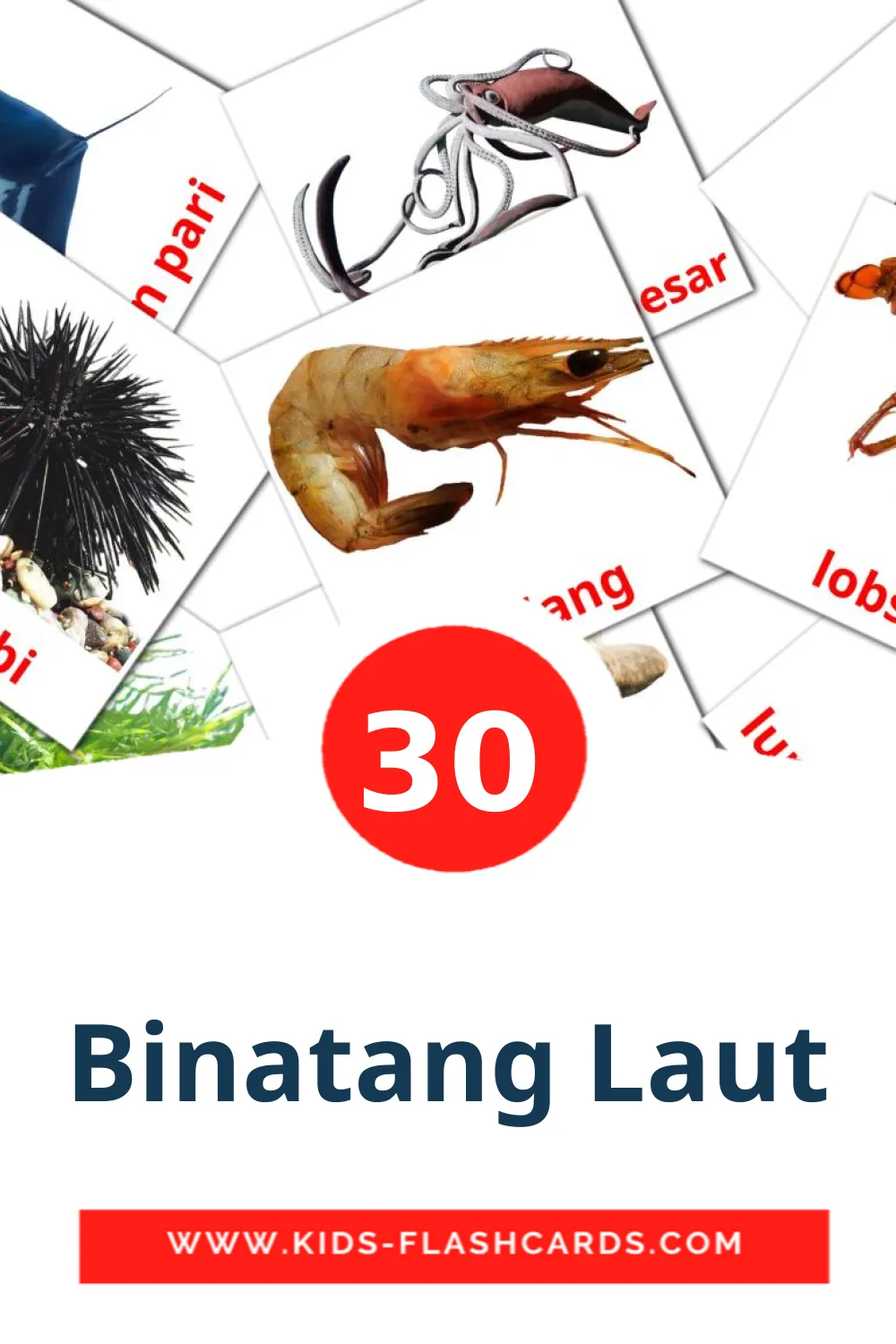 30 cartes illustrées de Binatang Laut pour la maternelle en indonésien