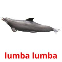 lumba lumba карточки энциклопедических знаний
