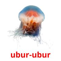 ubur-ubur card for translate