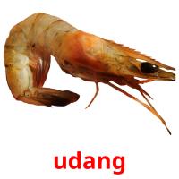 udang picture flashcards