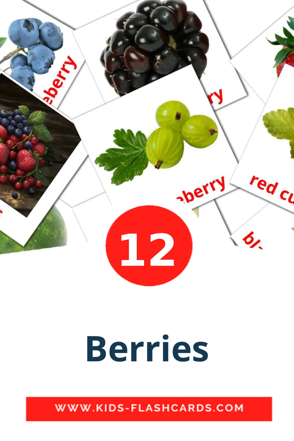 12 cartes illustrées de Berries pour la maternelle en indonésien