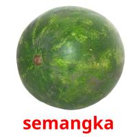 semangka picture flashcards