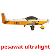 pesawat ultralight cartes flash