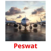 Peswat cartes flash