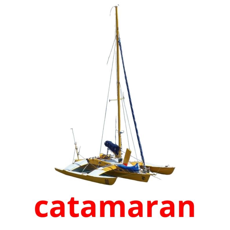 catamaran picture flashcards