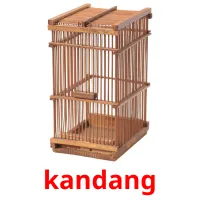 kandang cartes flash