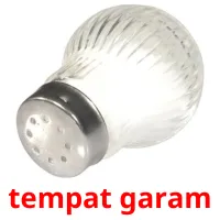 tempat garam cartes flash