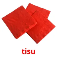 tisu cartes flash