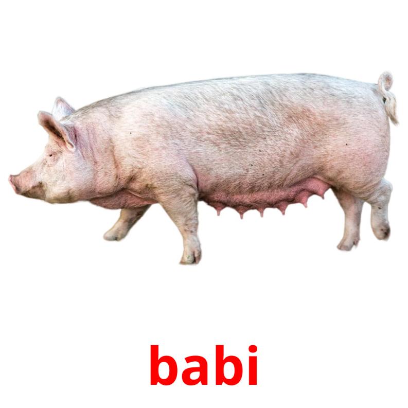 babi picture flashcards