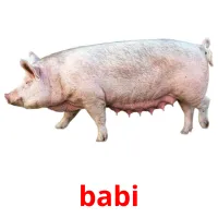 babi Tarjetas didacticas