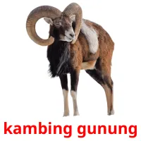 kambing gunung Tarjetas didacticas