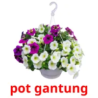 pot gantung cartes flash