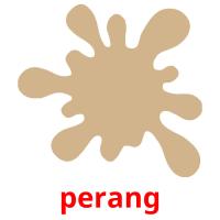 perang picture flashcards