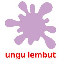 ungu lembut card for translate