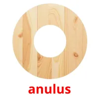 anulus ansichtkaarten