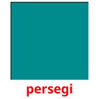 persegi card for translate