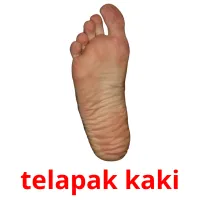 telapak kaki Bildkarteikarten