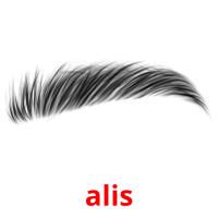 alis card for translate