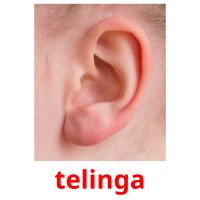 telinga card for translate