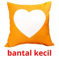 bantal kecil picture flashcards