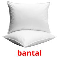 bantal picture flashcards