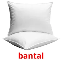 bantal Tarjetas didacticas