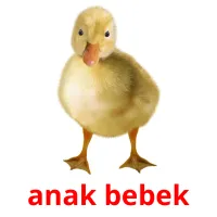 anak bebek ansichtkaarten