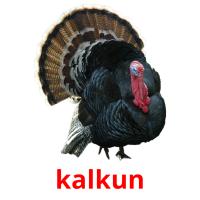 kalkun card for translate