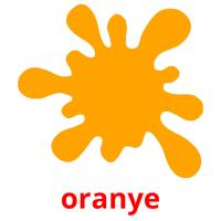 oranye picture flashcards