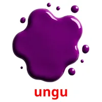 ungu picture flashcards