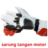 sarung tangan motor Tarjetas didacticas