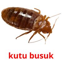 kutu busuk card for translate