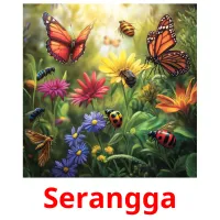 Serangga cartes flash