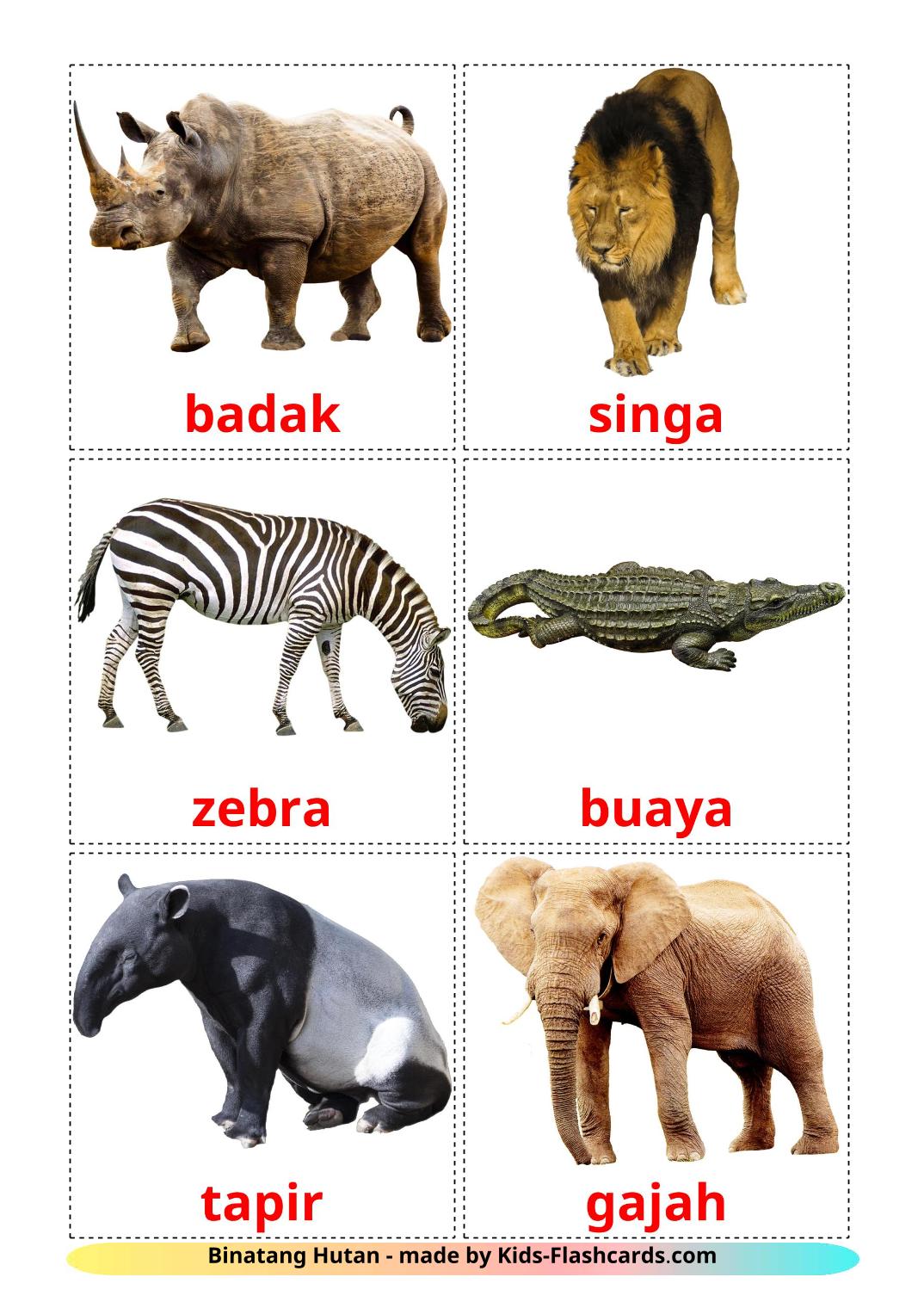 Jungle animals - 21 Free Printable indonesian Flashcards 