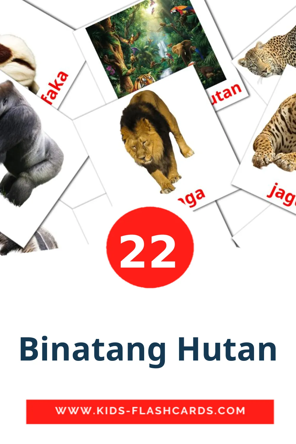 22 cartes illustrées de Binatang Hutan pour la maternelle en indonésien