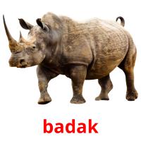 badak card for translate