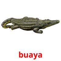 buaya card for translate