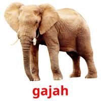 gajah picture flashcards