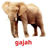 gajah ansichtkaarten