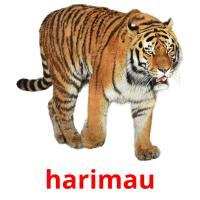 harimau card for translate