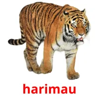 harimau ansichtkaarten