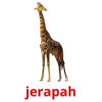 jerapah picture flashcards