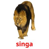 singa card for translate