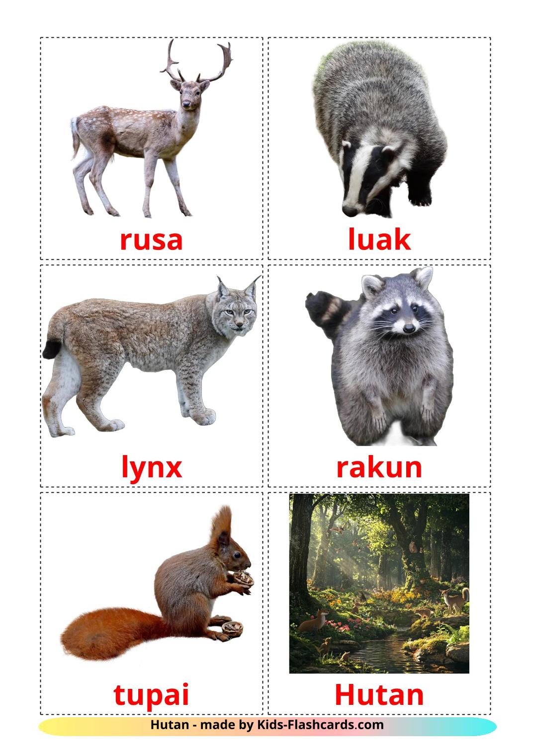 Animali della foresta - 23 flashcards indonesiano stampabili gratuitamente