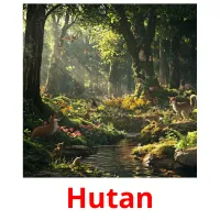 Hutan flashcards illustrate