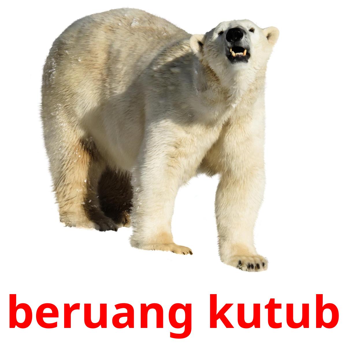 14 Free Arctic Animals Flashcards In Indonesian Pdf Files