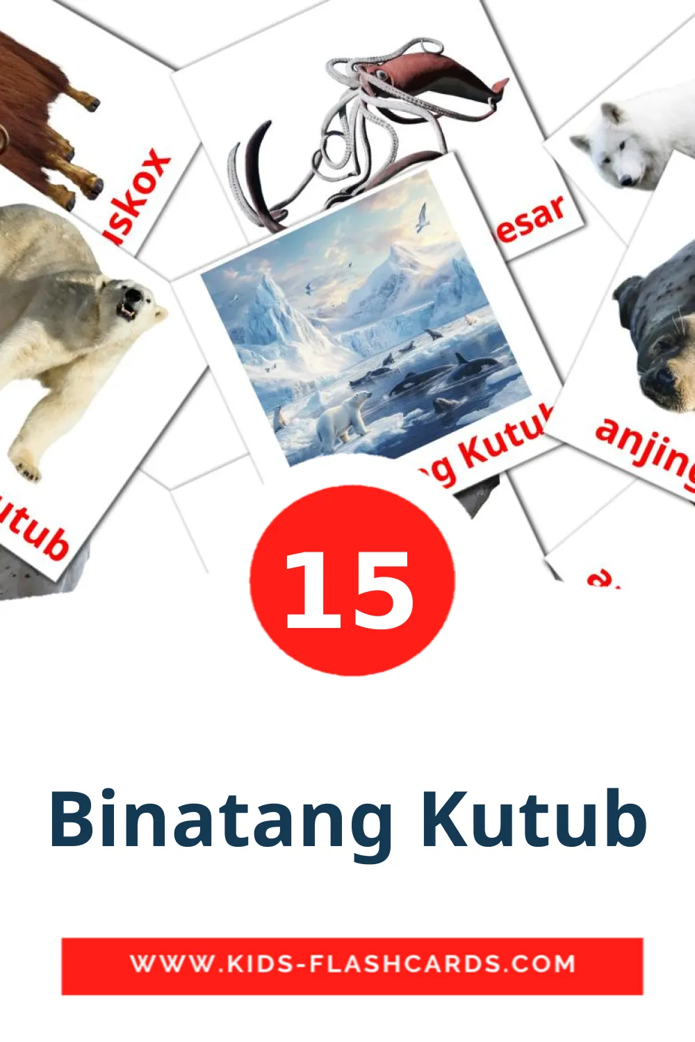 15 cartes illustrées de Binatang Kutub pour la maternelle en Deutsch